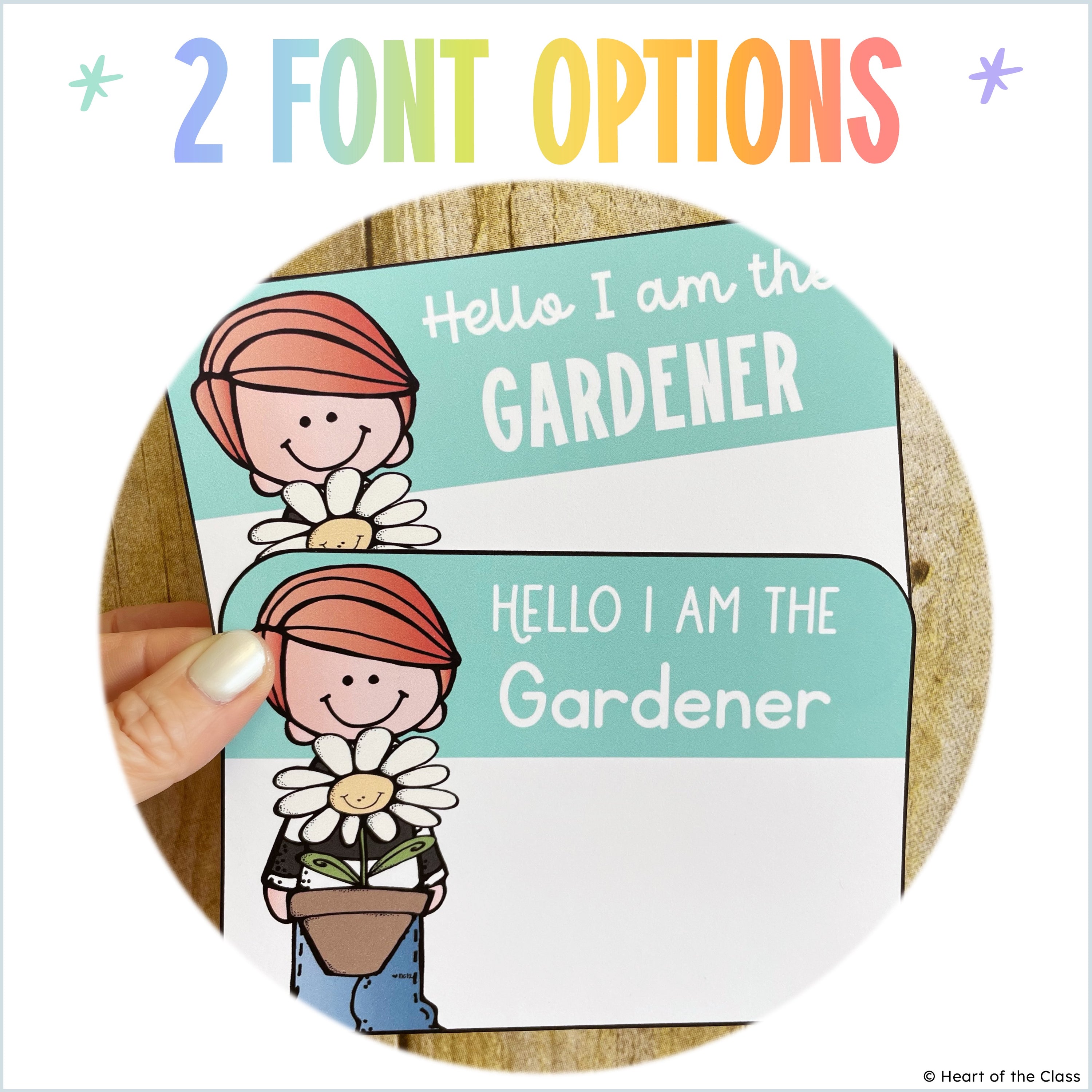 Hello Brights Classroom Jobs