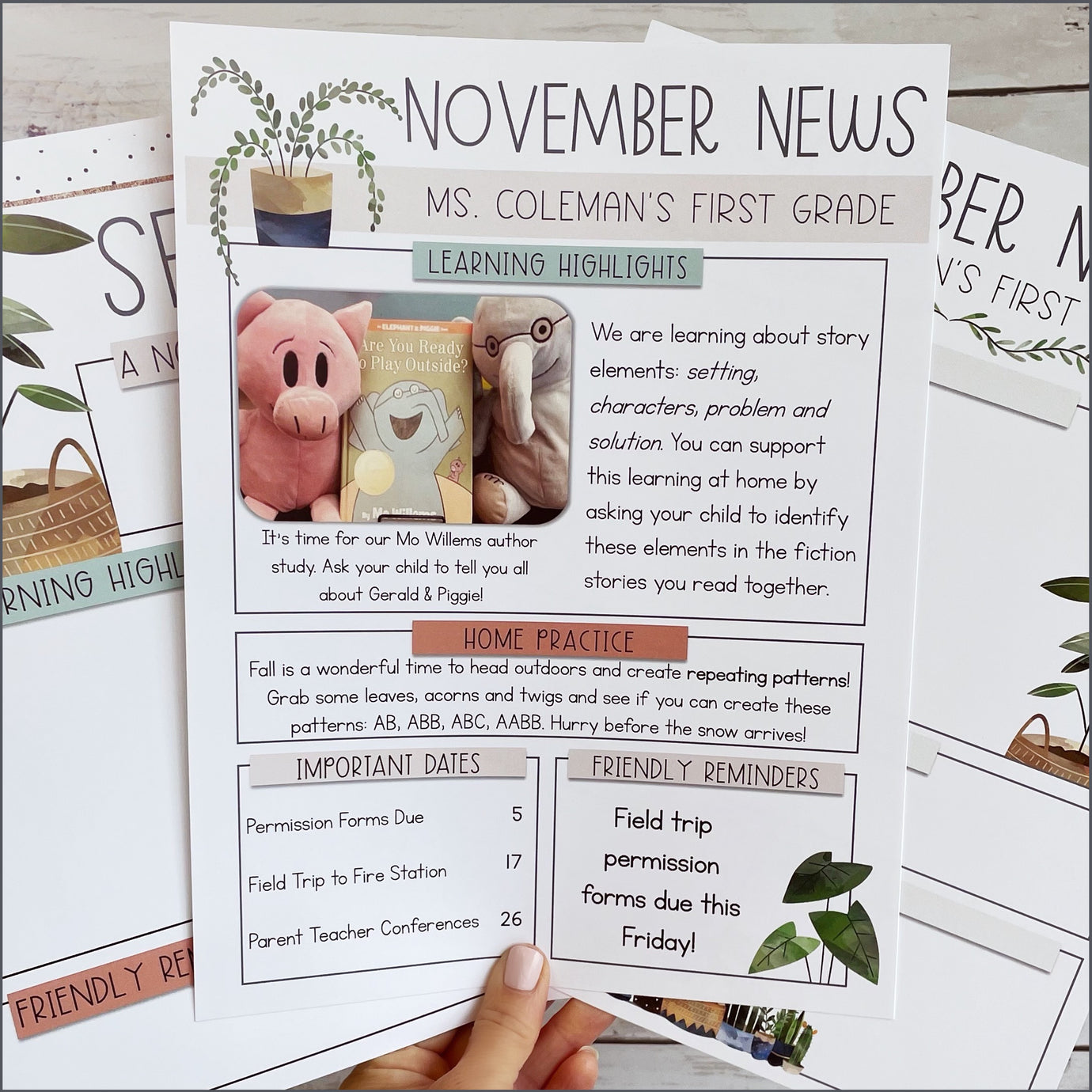 Classroom Newsletter Template in Modern Boho Plants Theme